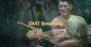 DMT breathing