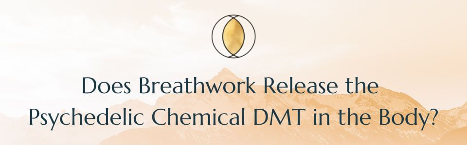 Does Breathwork release dmt?
