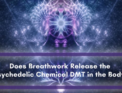 Does Breathwork Release the Psychedelic ‘Spirit Molecule’ DMT in the Body?