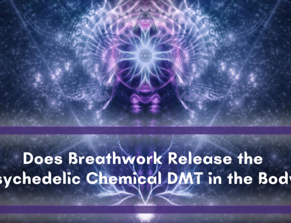 How to Make the Most of Your Breathwork Practice Alchemy of Breath