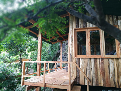 cabinmed