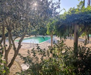 WhatsApp Image 2025-08-07 at 02.32.53 (1)