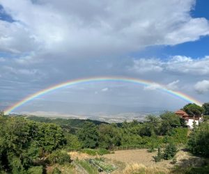 WhatsApp Image 2025-08-07 at 02.32.54 (1)