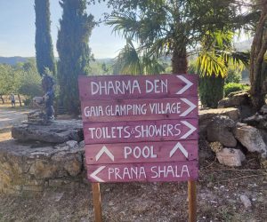 WhatsApp Image 2025-08-07 at 02.32.54