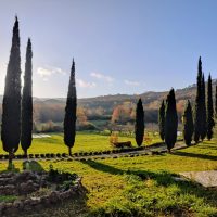 WhatsApp Image 2026-02-19 at 20.15.11