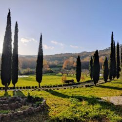 WhatsApp Image 2026-02-19 at 20.15.11