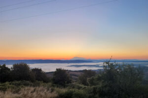 nature-2