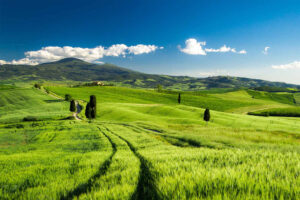 nature-3