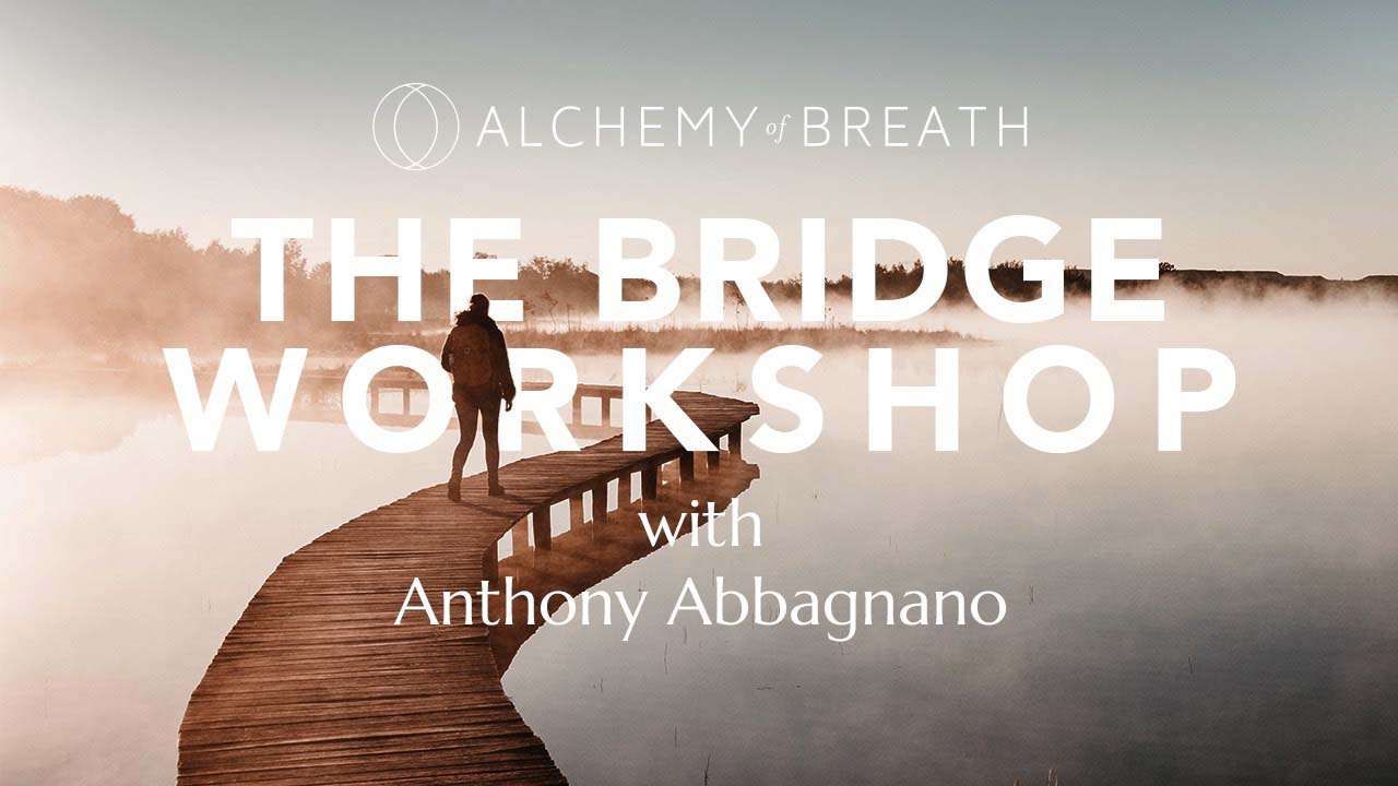 The Bridge Workshop